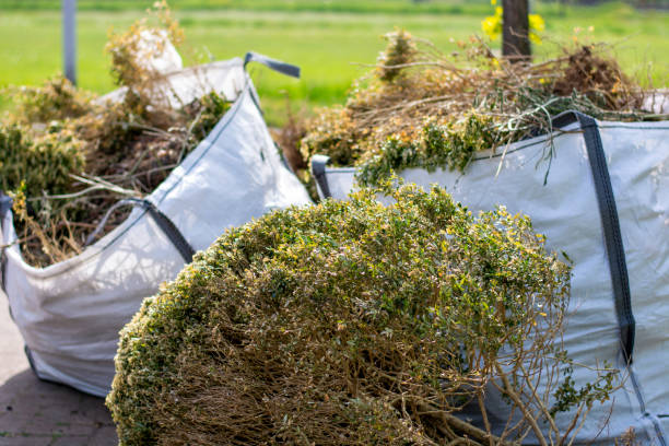 Best Yard Waste Removal  in Newton, IL